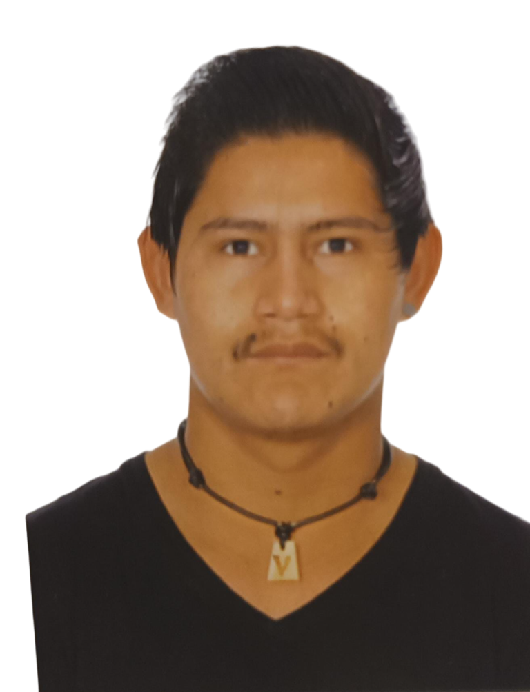 Vladimir Vela Veisaga