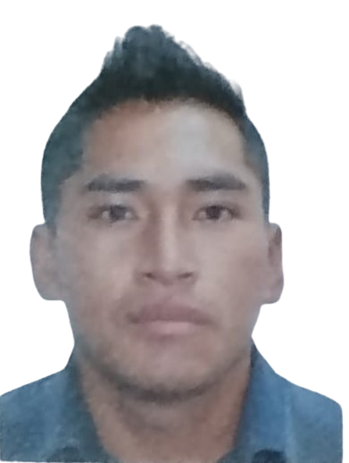 Alejandro Delfin Choqueta