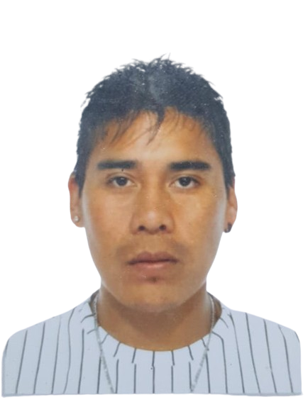 Dennis J Ramires