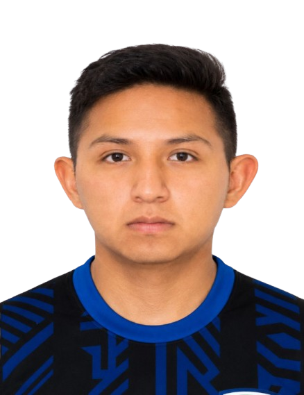 Jose Adrian Soto Chura